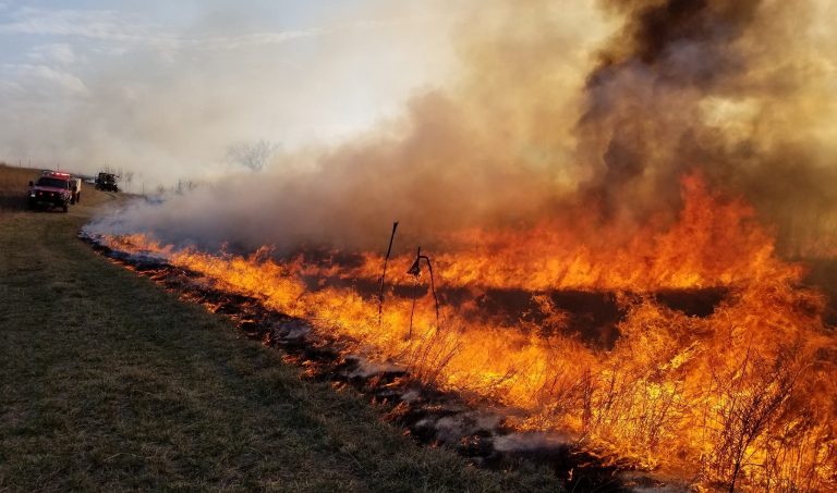 A controlled grass fire burns along the edge of a field, sending thick smoke into the sky, while fire trucks and firefighters stand by on a nearby grassy area.