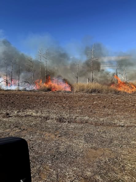 A wildfire burns through dry grass and leafless trees under a blue sky, with thick smoke rising into the air. The foreground shows dry, barren ground.